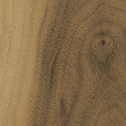 Swatch image of Walnut wood
