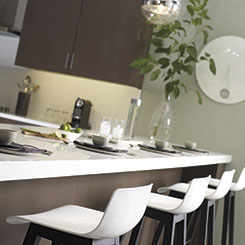 Desoto kitchen with Mid Century Modern design elements