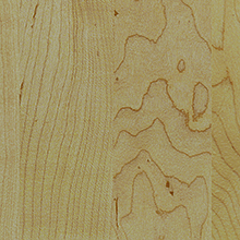 baja-Maple-220x220