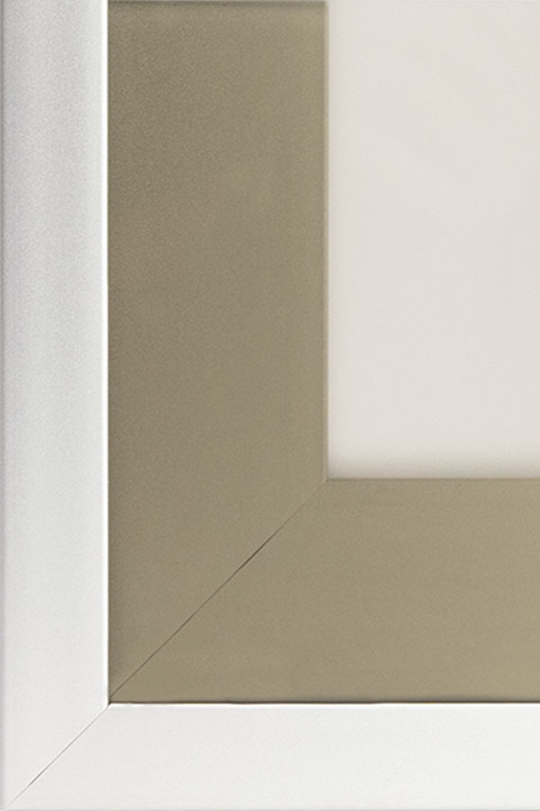 Aluminum Frame Cabinet Insert – Bronze Satin